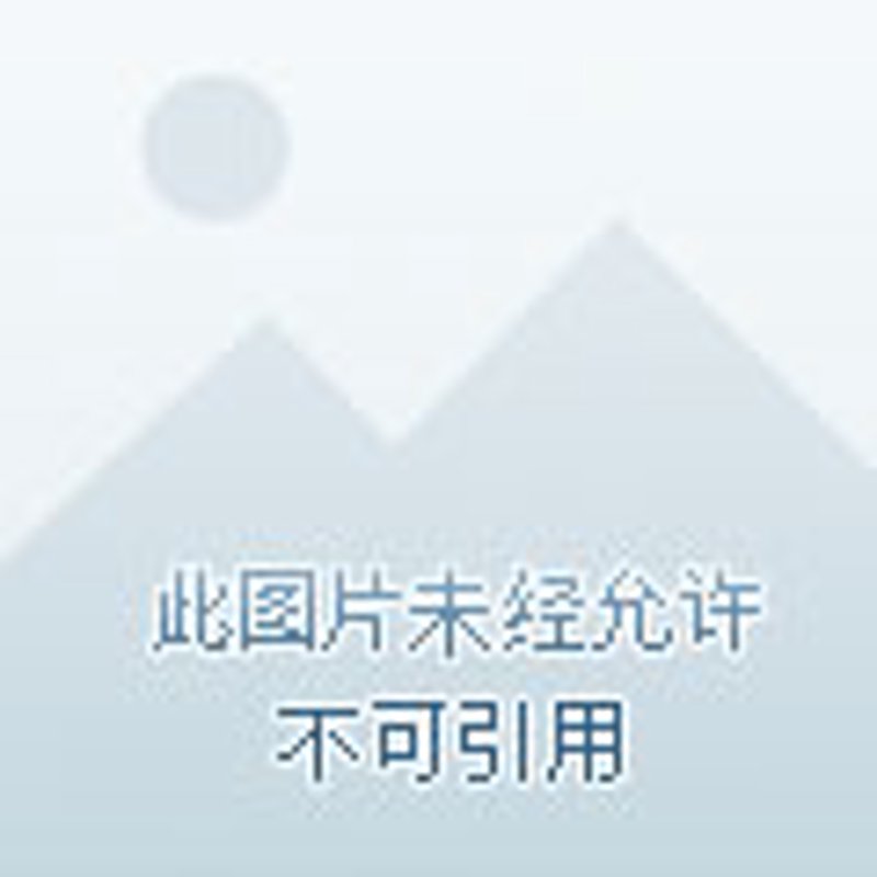 商品交易所：交易流程与市场动态